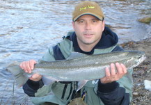saugeen_jay