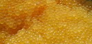 brown_trout_eggs