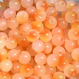 Georgia Peach 