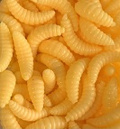 cac wax worms natural
