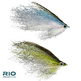 Rio's Student Loan Fly