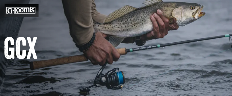 Gloomis GCX Banner
